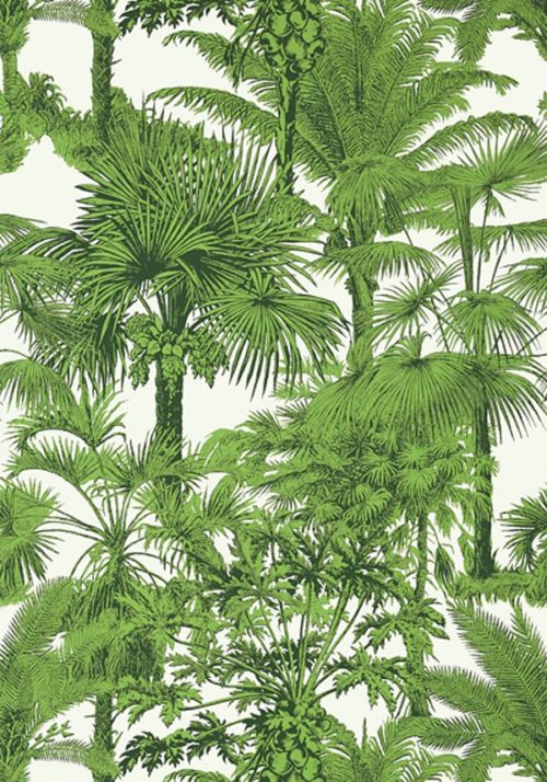 PALM BOTANICAL T10103